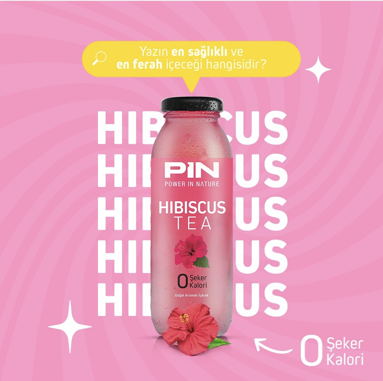 Pin hibiscus